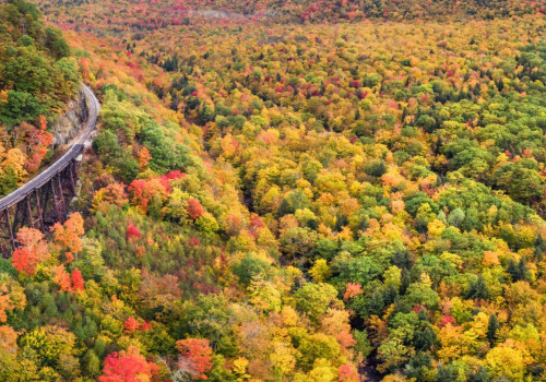 The Impact of Seasonal and Holiday-Specific Food Programs in Southern New Hampshire